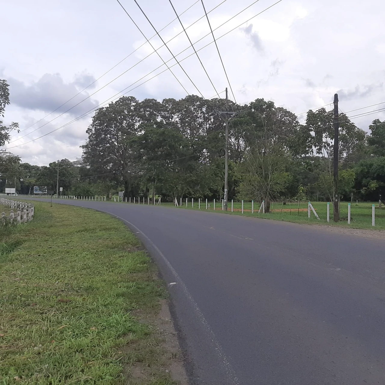 2000sqm lots close to the coast available now - Gallery image 5