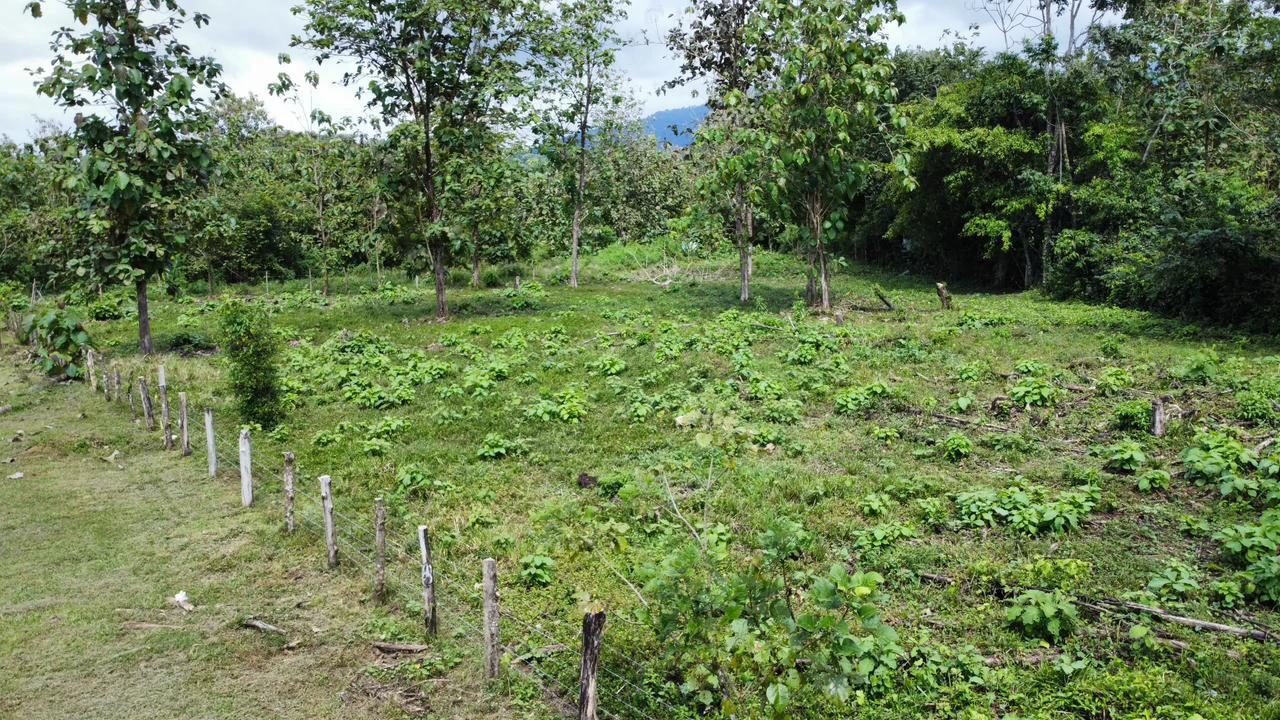 Off the grid property | Located in a privileged area, surrounded by natural beauty: Mountain Home Construction Site For Sale in Damas