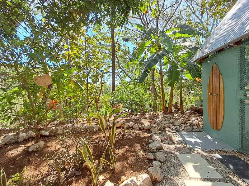 Casa Hippie: Charming Costa Rican-Style Home – Fully Renovated in 2024 - Gallery image 5