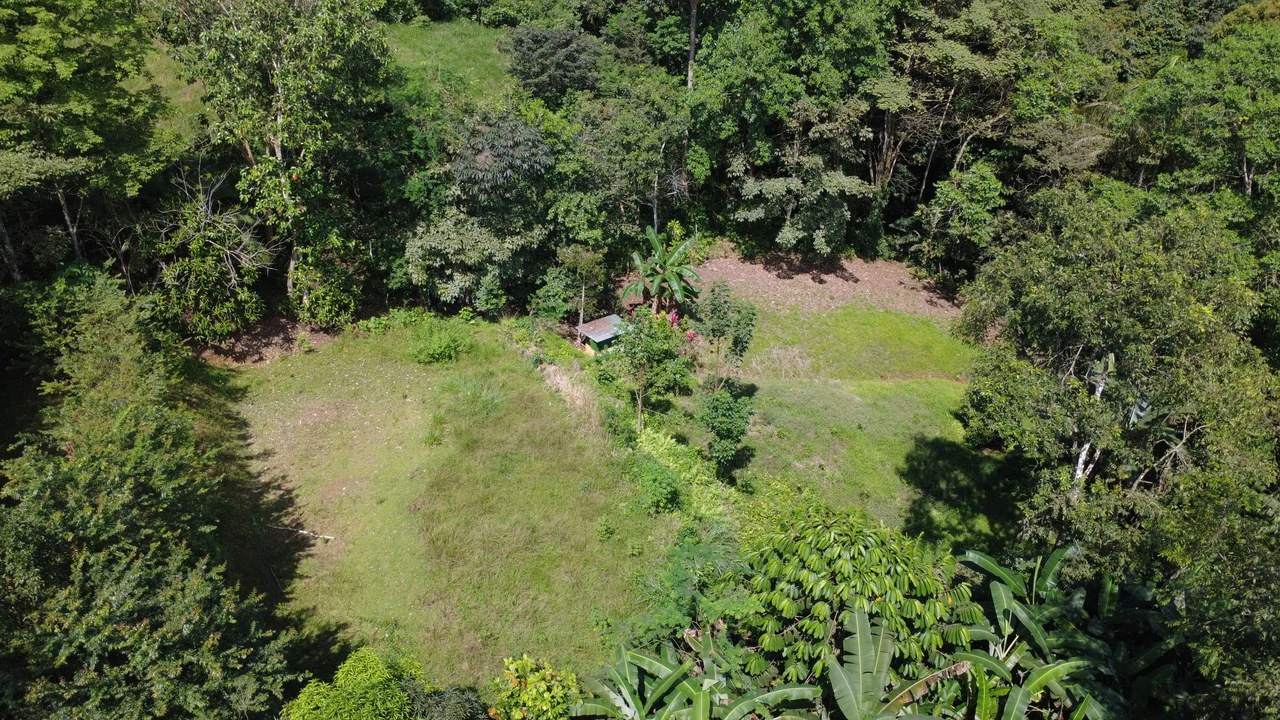 Countryside House For Sale in Buenos Aires - Gallery image 3