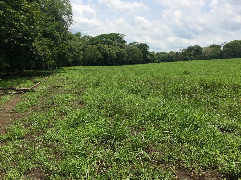 Propiedad de 79 hectáreas: Property of 79 hectares, located in Canas Dulces Liberia. - Gallery image 18