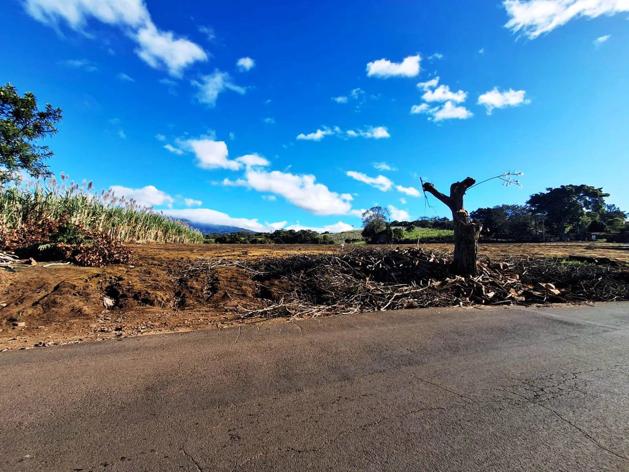 Panoramic Peaceful Escape...: 6,110 m2 with Unobstructed City Views! - Gallery image 3