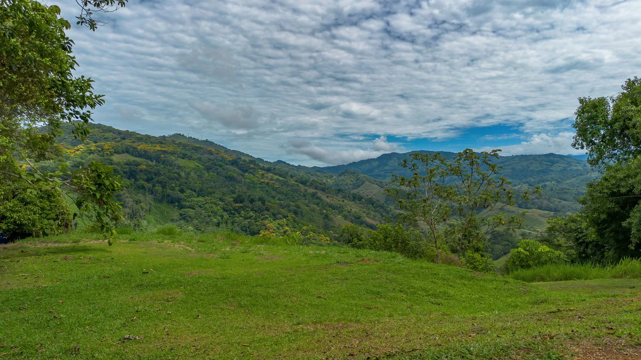 60+ Hectares in Platanillo | Own Your Own Mountain in Costa Rica - Gallery image 30