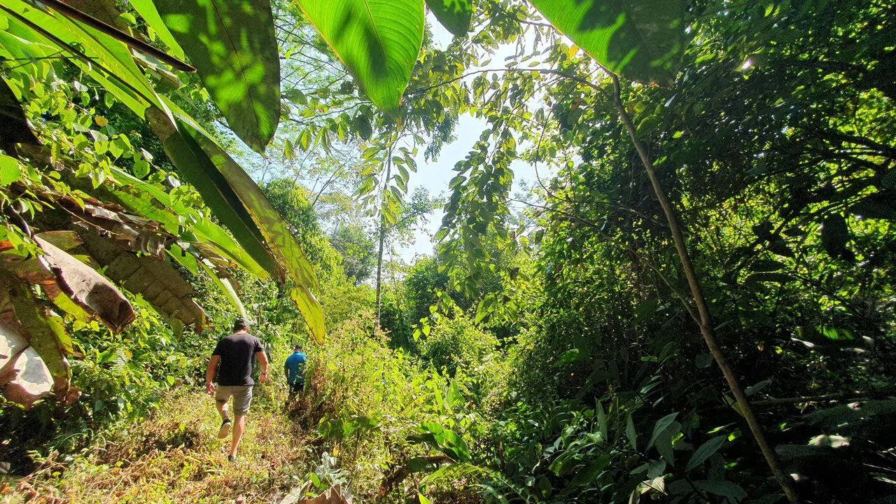 CONSERVATION AND DEVELOPMENT LAND WITH OCEAN VIEW IN SIERPE, COSTA RICA - Gallery image 21