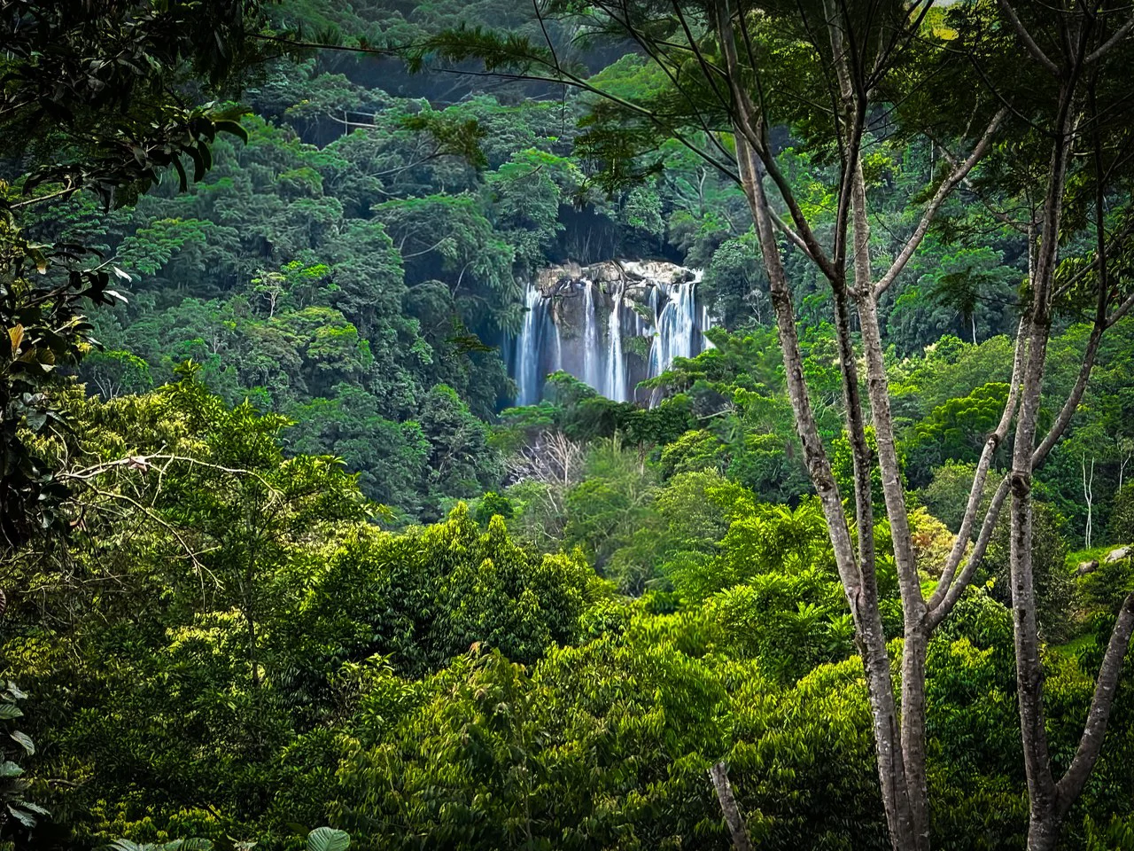 3 Acre Waterfall View Estate Parcel Playa Dominical - Gallery image 25