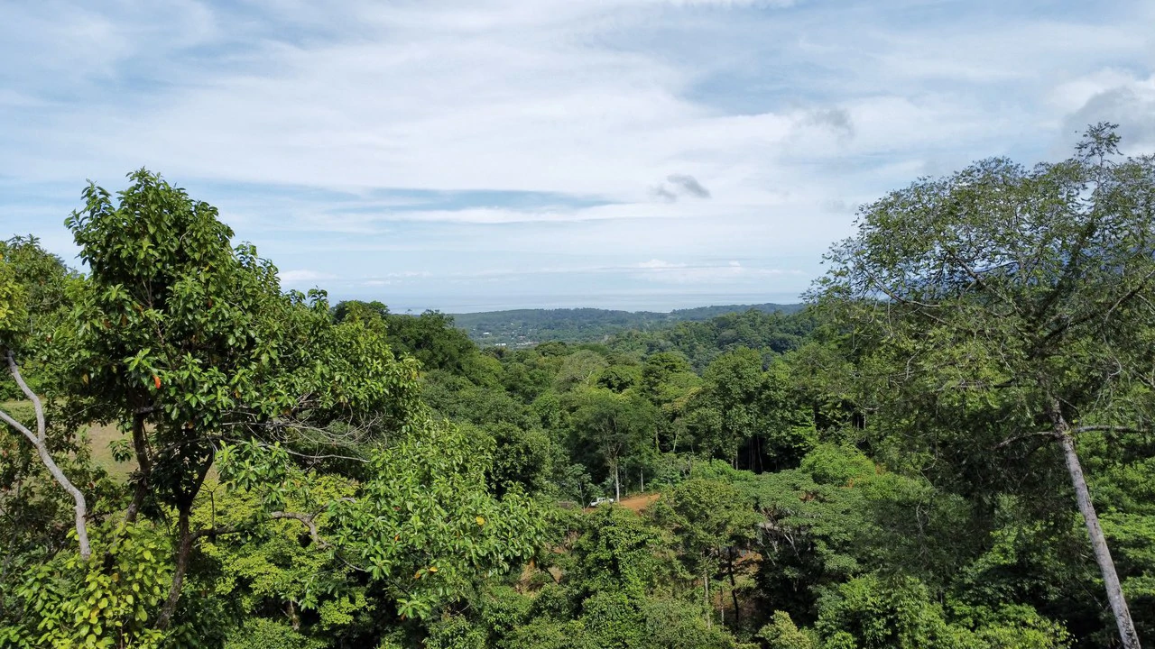 Marvelous Ocean View Parcel in Uvita. - Gallery image 4