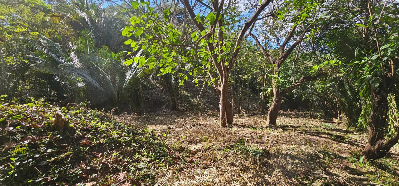 1-Acre Lot with Seasonal Creek - Build Your Dream Home, Rentals, or Business - Gallery image 7