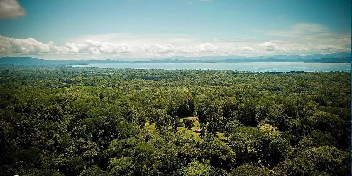 Gulf View Gallardo Farm Gallardo, Puerto Jimenez, Osa Peninsula