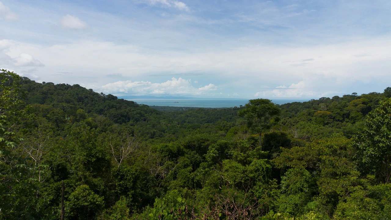 6.45 ACRES – 3 Bedroom Luxury Ocean View Home Surrounded By Vibrant Rainforest And Wildlife!!! - photo 2