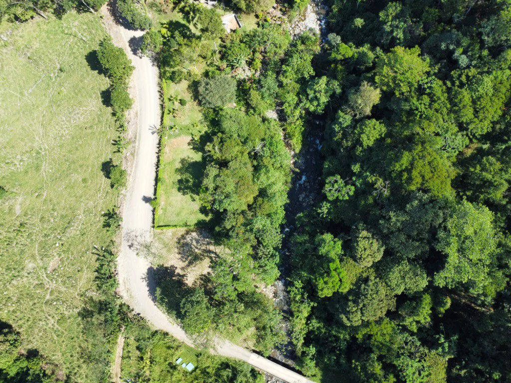 Mountain Home Construction Site For Sale in Convento - photo 4