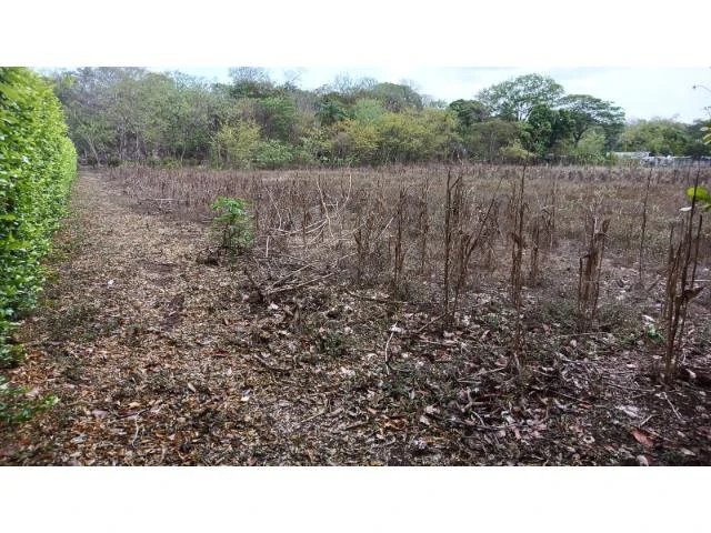 Amazing building property for sale 5 minutes away from Liberia center and 2 minutes walking to the Colorado River - Gallery image 4