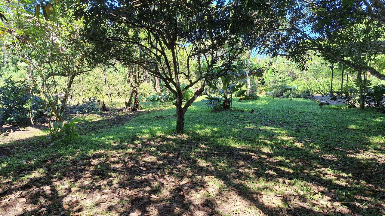 2 Casas en Venta, General Viejo.: Mountain House For Sale in General Viejo - Gallery image 9