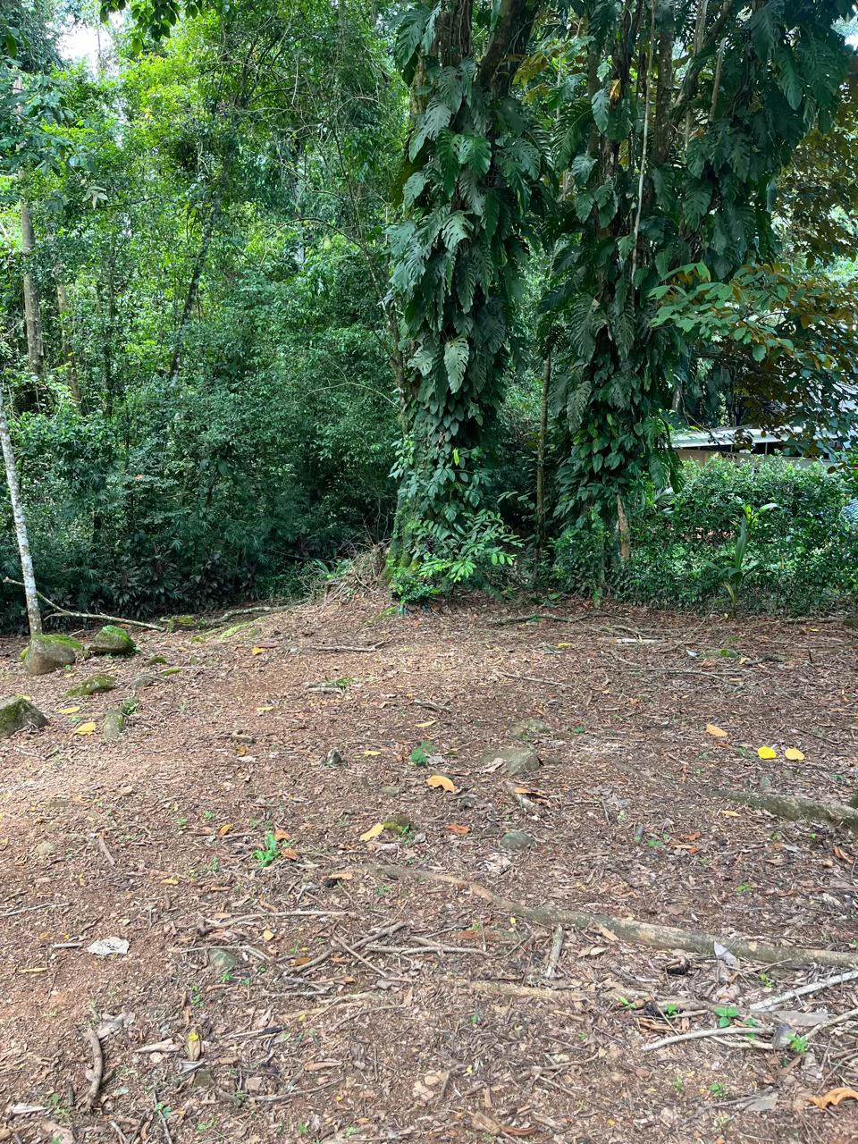 Turnkey Jungle lot in Downtown Uvita - Gallery image 2
