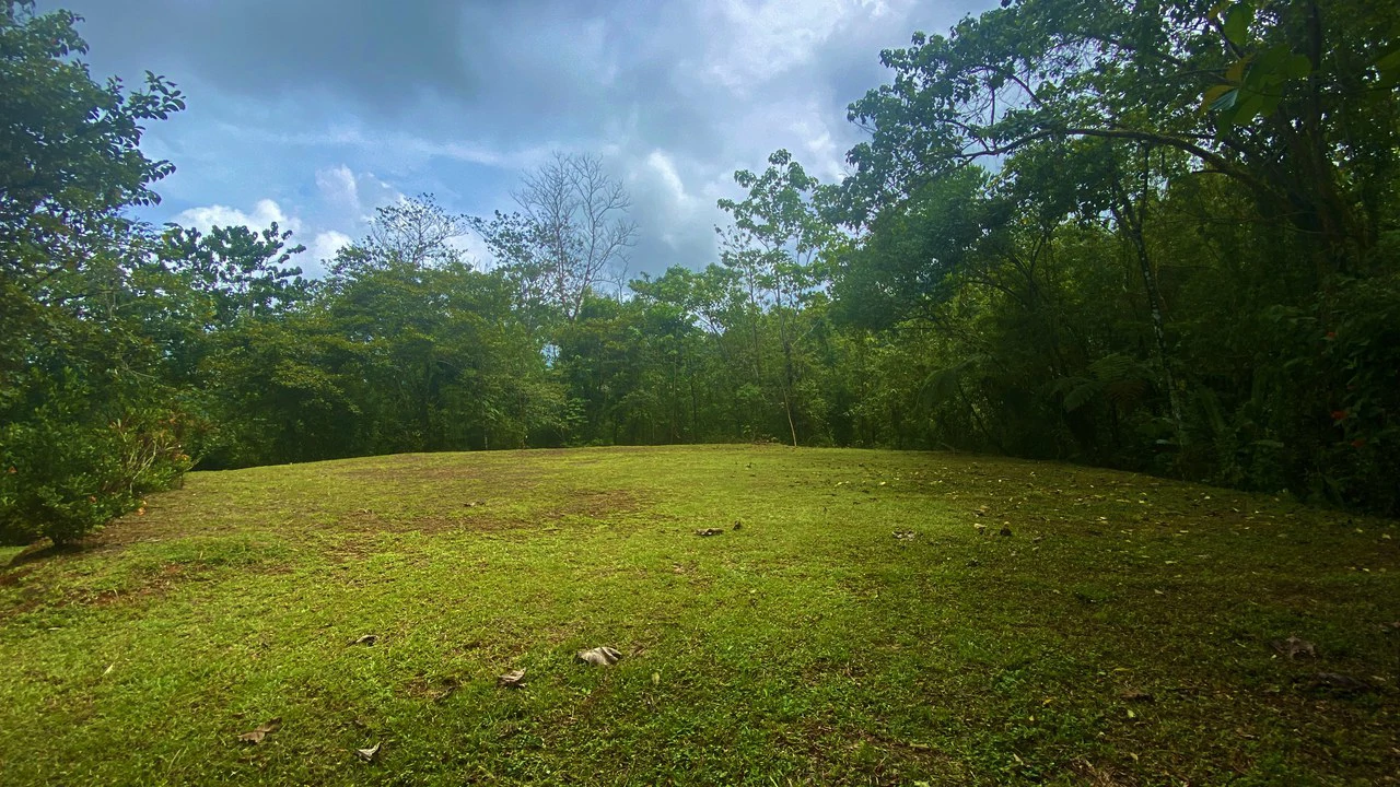 Mountain Home Construction Site For Sale in Tres Rios