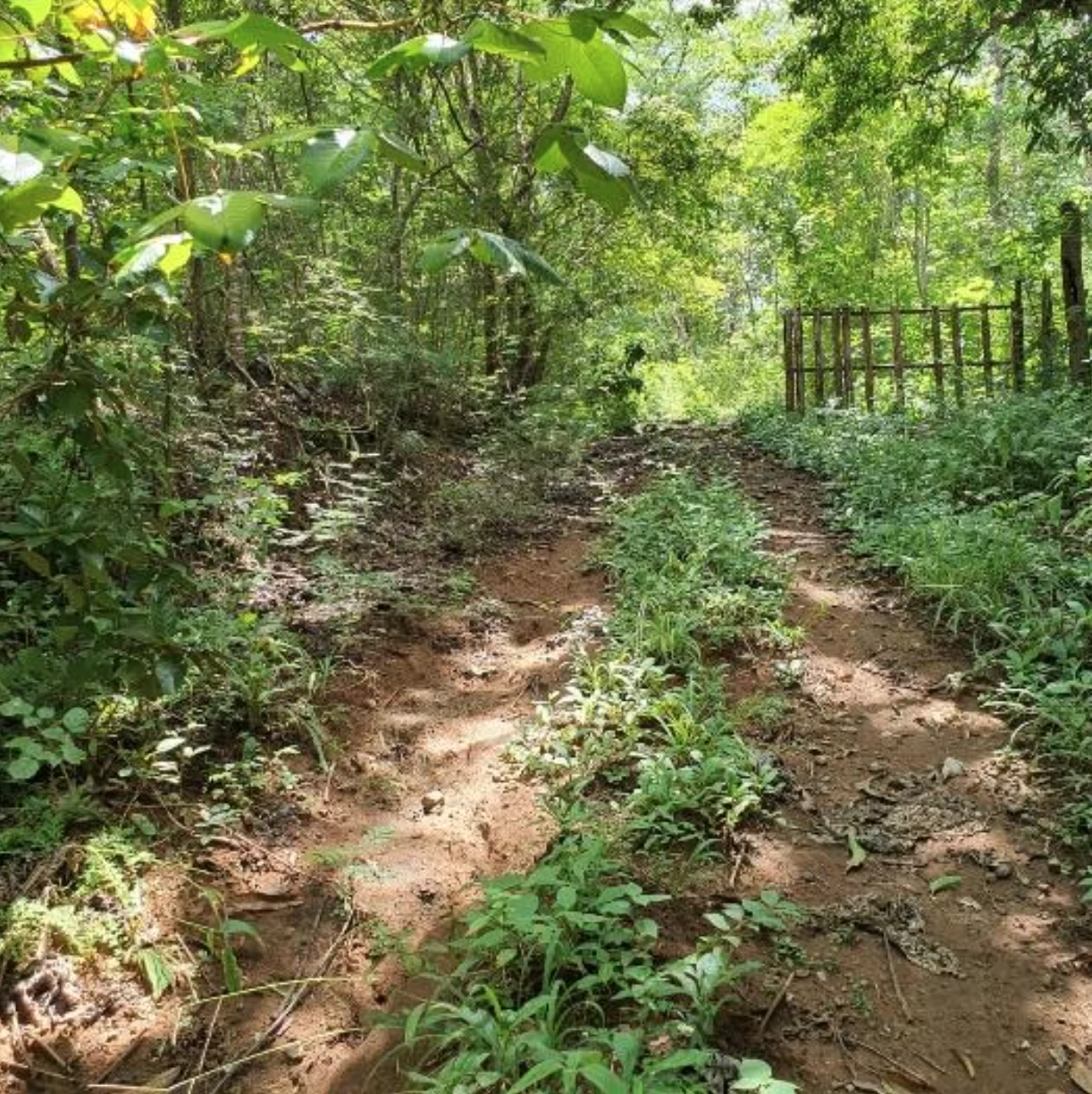 First Time Listed! Playa Avellanas Costa Rica Ocean View Development Land for Sale. Water and Land letter in Place. A Developer Dream! - Gallery image 8