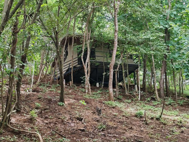 Nosara's Brand New Top Villas as a Business Opportunity in the dense forest of catchment area, 7 villas for sale in Costa Rica's Healthy Blue Zone - Gallery image 39