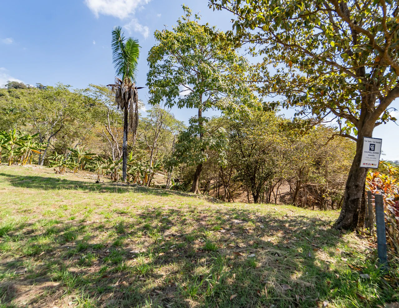 Lote Camaronal Natural: Half Acre Lot Just Mins to the Surf - Gallery image 7