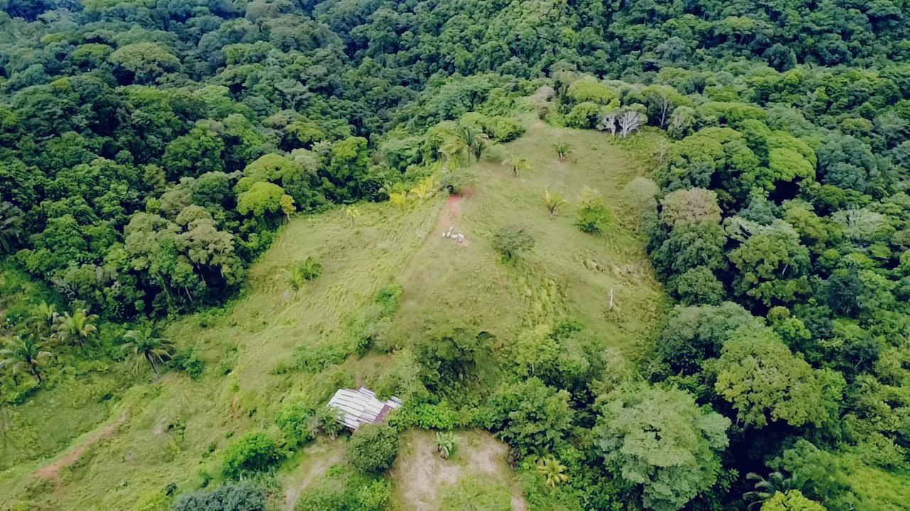 Near the Coast Home Construction Site For Sale in Osa - Gallery image 4