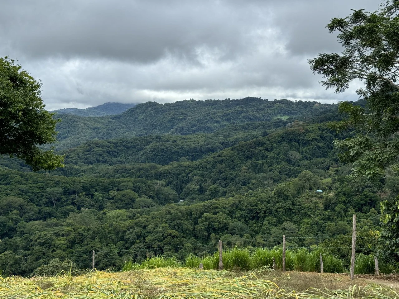 Playa Dominical Mountain Farming Property - Gallery image 11