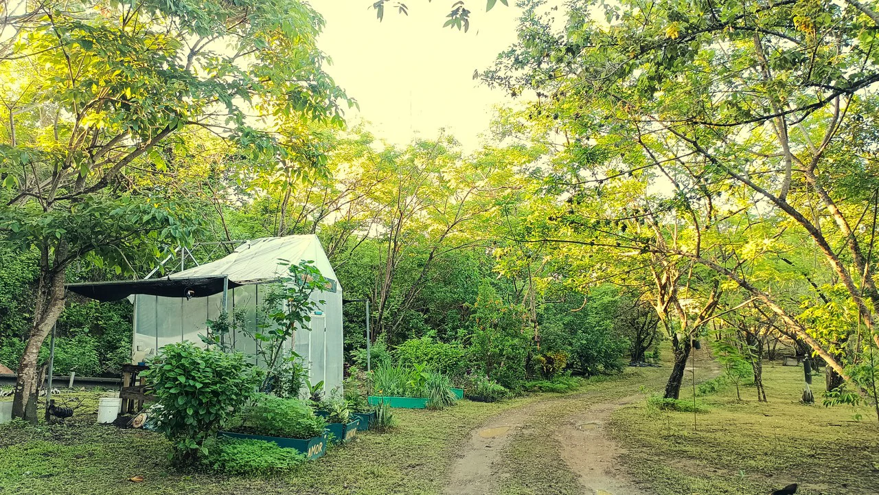Hill top house with amazing sunset views GB0125: Peaceful Retreat with developing Potential: Property with 2 Homes and Panoramic Views in Guayabo de Bagaces - Gallery image 15