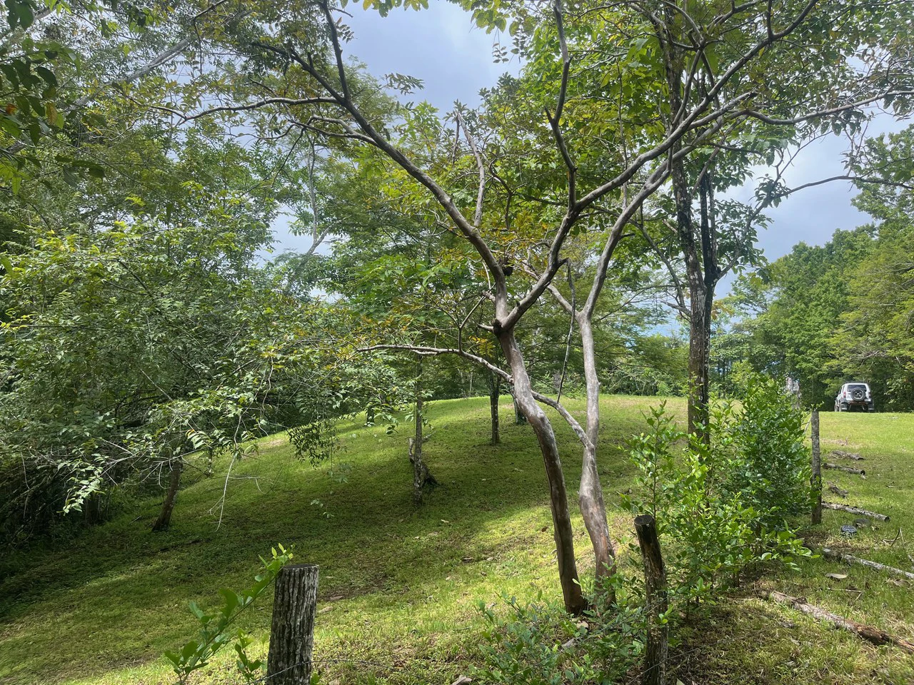 6000m2 Ready to Build Lot in Delicias: Great Price with Project and Permits included - Gallery image 8