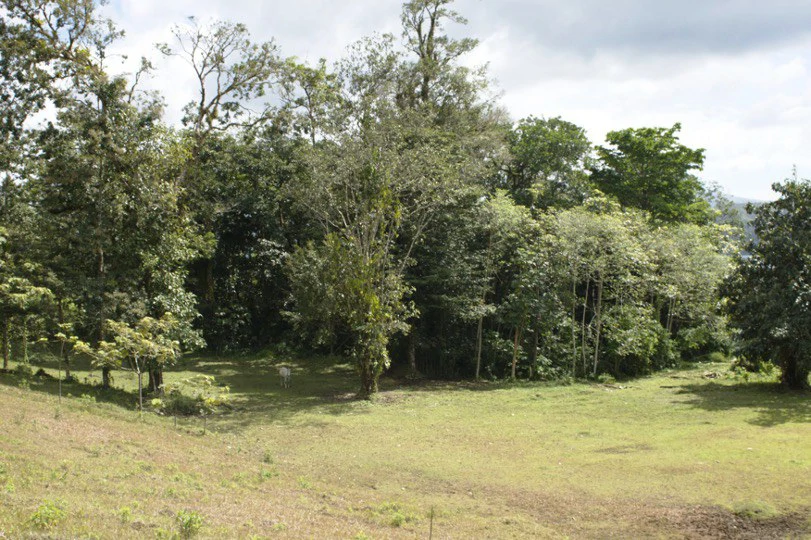 Land for sale in front Arenal Lake - Gallery image 9