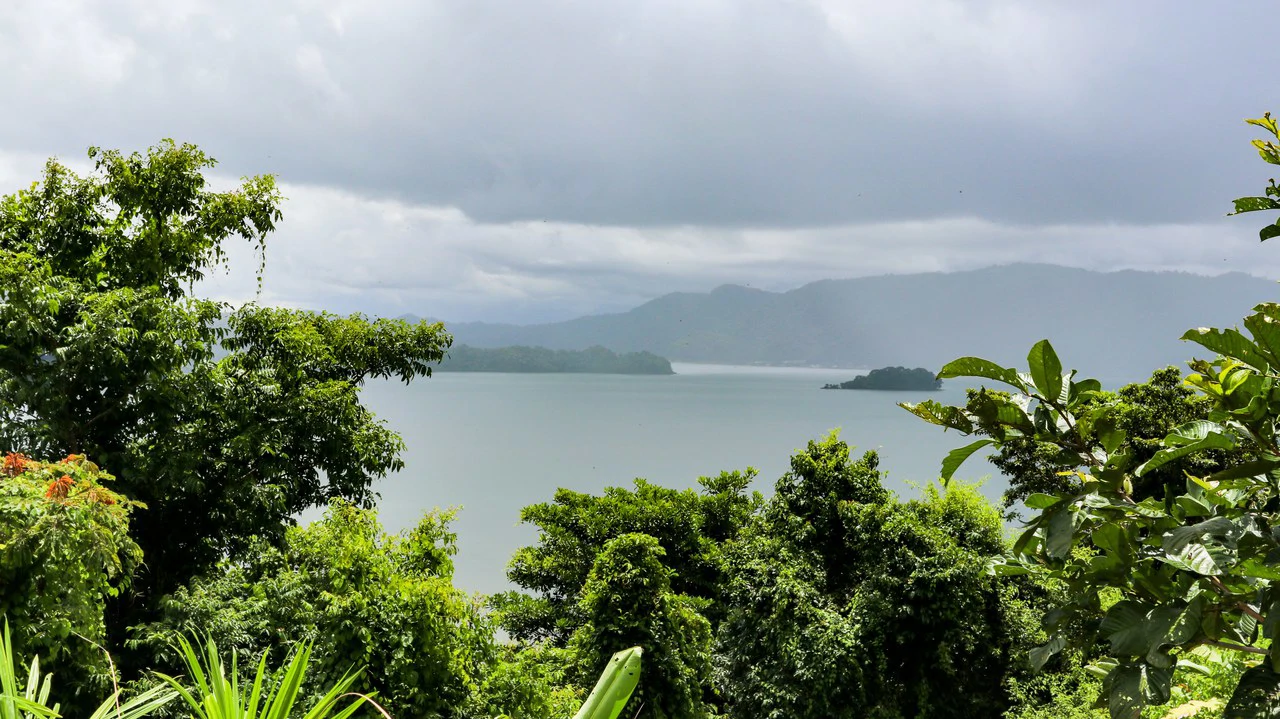 Unique Development Property Overlooking the Pristine Golfito Bay and Golfo Dulce - Gallery image 13