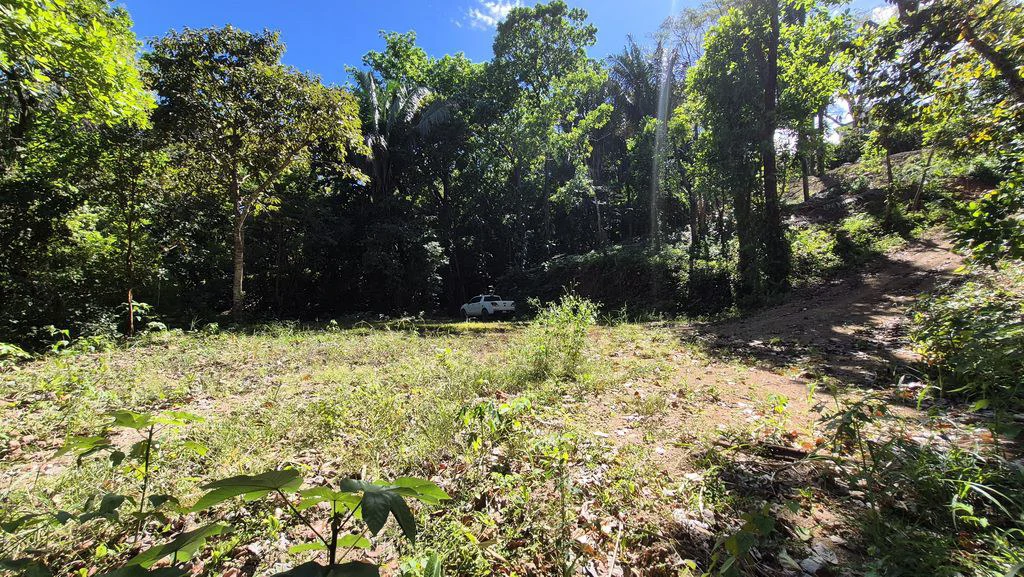 LOTE 29 SAMARA WOODS: New Price Drop ! Last Beautiful Lot With Jungle Views in quiet Samara Woods community – 5 minutes from Samara Samara - Samara Woods Exclusivity - Gallery image 5