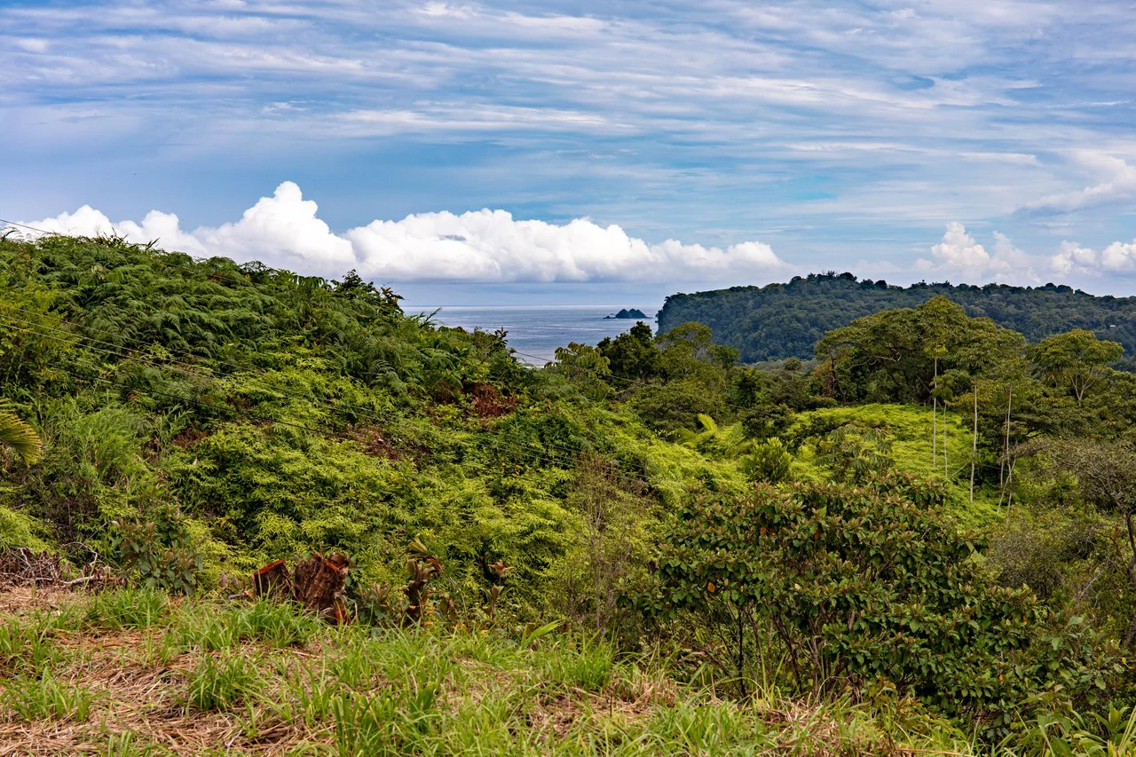 Ocean, Mountain View Ready to Build Lot on Desired Calle Perezoso - photo 5