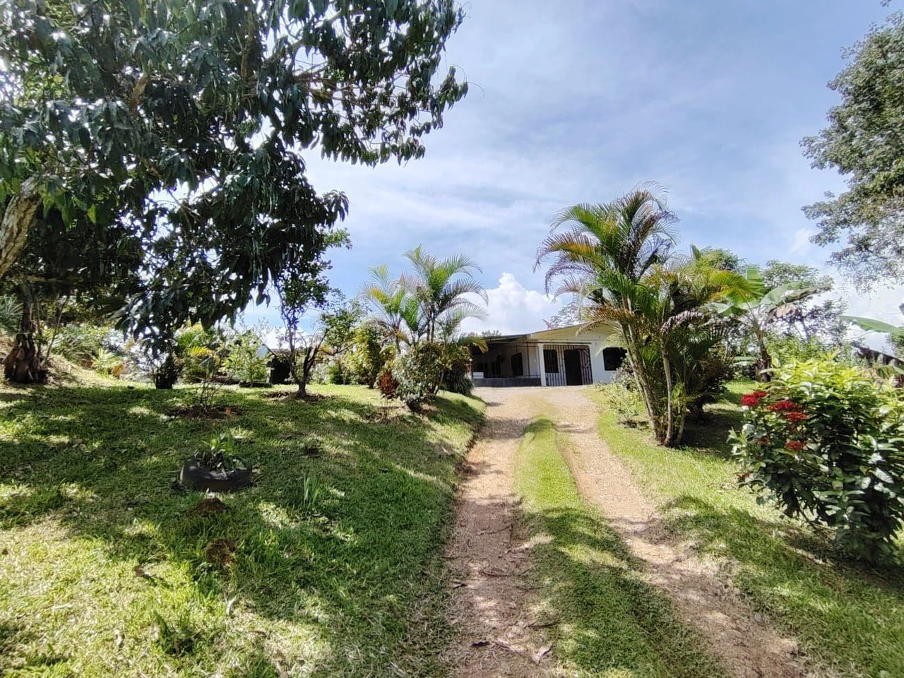 SE VENDE CASA EN SAN JUAN BOSCO, PEREZ ZELEDON.: Mountain House For Sale in Daniel Flores - Gallery image 20