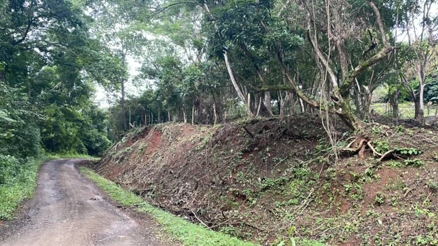 Beautiful Property for Sale in the Mountains of San Juanillo – Prime Land with Building Potential Just 10 Minutes from the Ocean - Gallery image 14