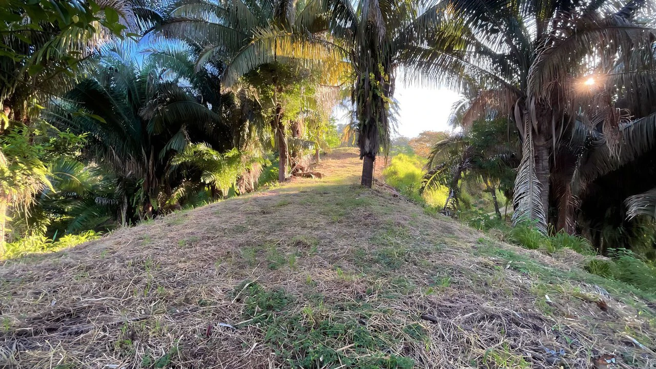 Exclusive Hermosa 1.2 Acre Lot with Panoramic Mountains and Ocean View. - Gallery image 6