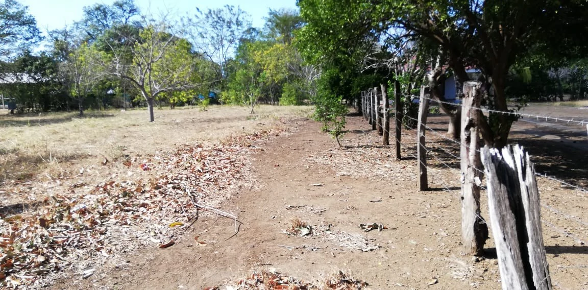 Property in Coco Beach - Gallery image 6