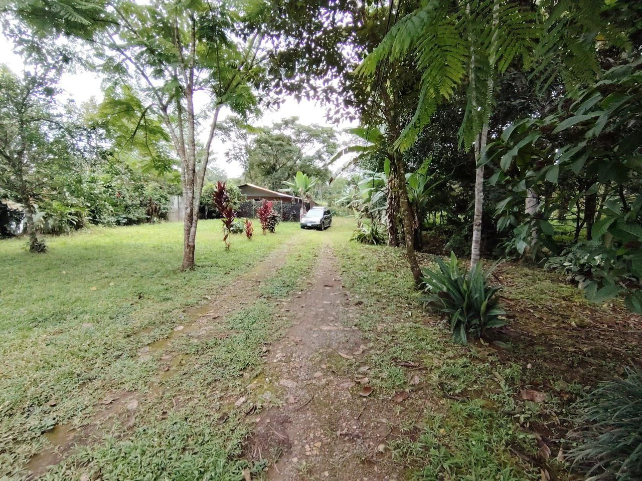 Propiedad en venta, General Viejo, Perez Zeledon.: Mountain House For Sale in General Viejo - Gallery image 6