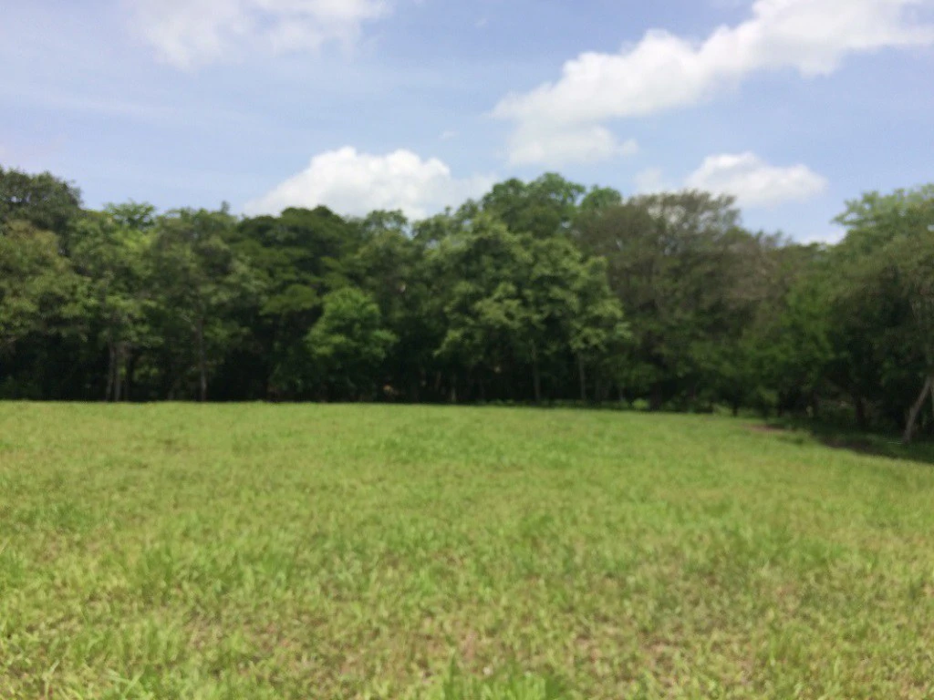 Propiedad de 79 hectáreas: Property of 79 hectares, located in Canas Dulces Liberia. - Gallery image 9
