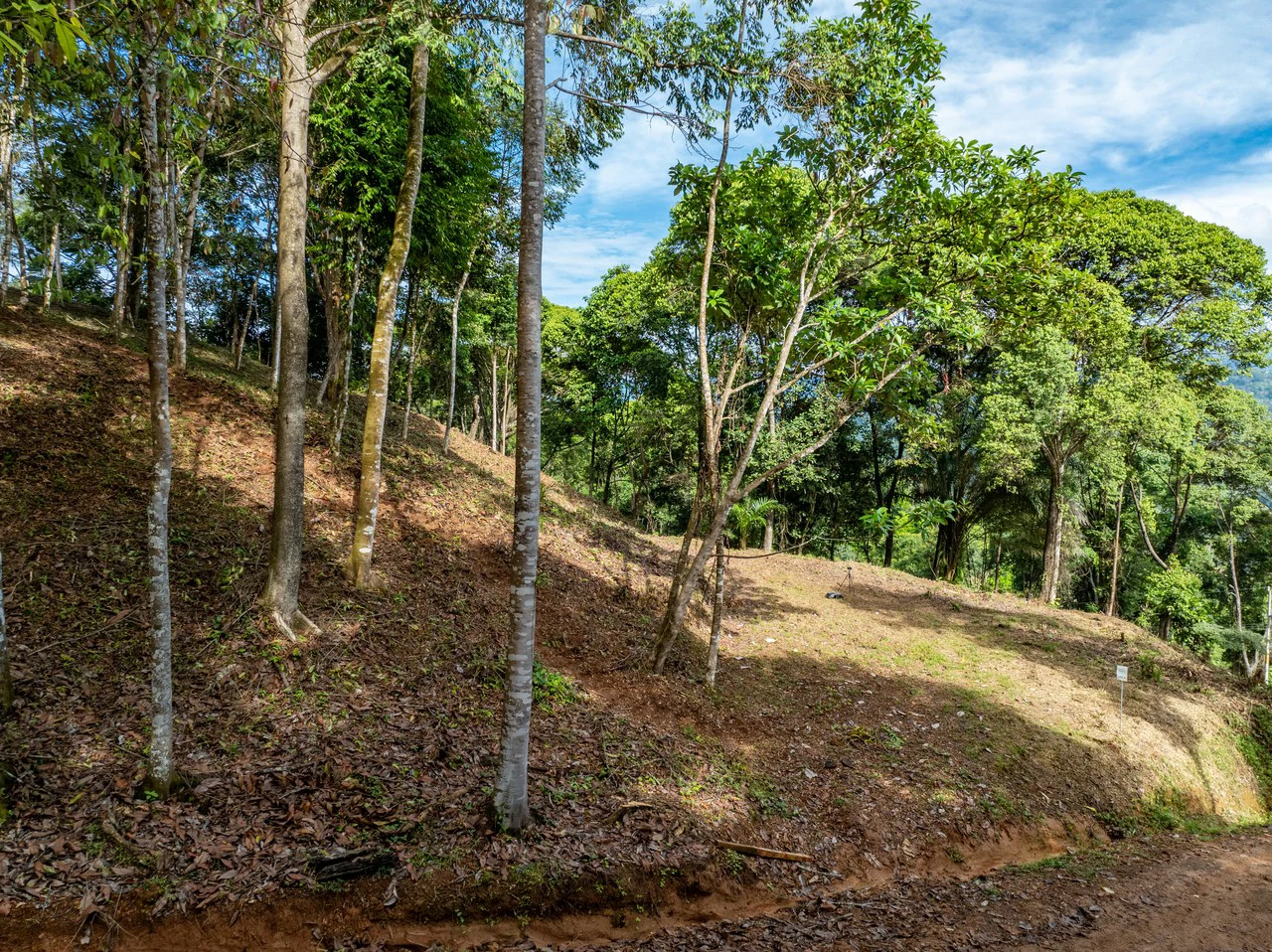 2.9 Acre Paradise with Diamante Valley Views Dominical - Gallery image 7