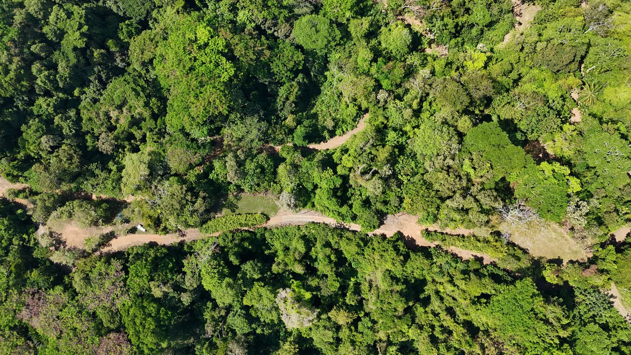 Exceptional Development Opportunity 71 acre Riverfront & Ocean View in Hatillo - Gallery image 16