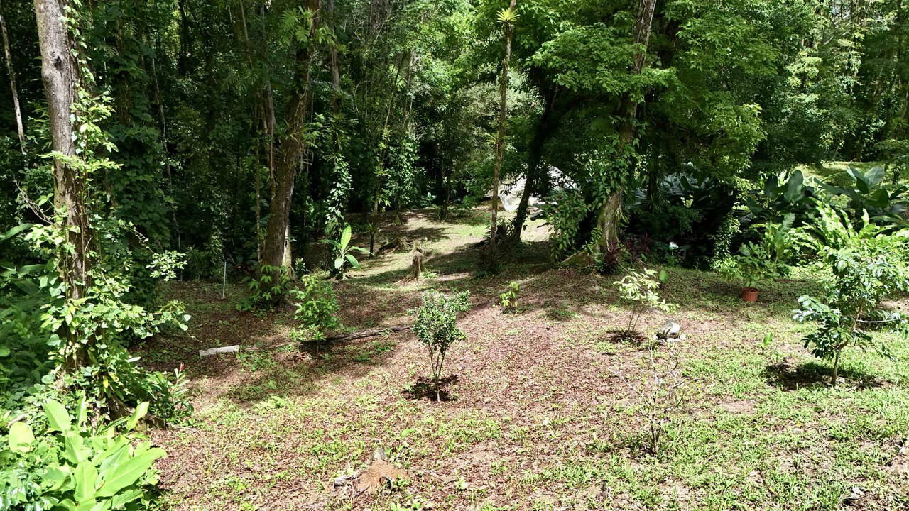 Fire Sale Investment Opportunity in Jardines del Morete | 2 Bed | 2 Bath Home with River Access - photo 11