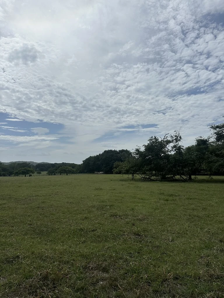 Finca La Fabiola: 4-Hectare Property in Santa Cruz, Guanacaste - photo 7
