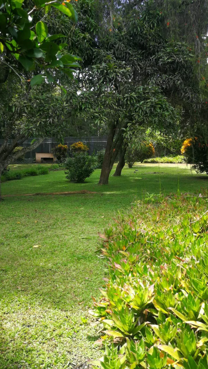 Home Construction Site For Sale in Escazú