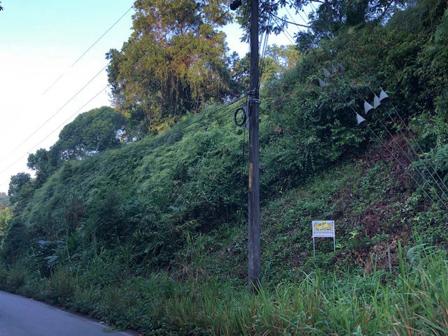 6.5 ACRES – Space To Grow, Build & Thrive, Close To The Beach & Commercial Potential Road Frontage!!!!!: Mountain and Countryside Development Parcel For Sale in Platanillo de Dominical - Gallery image 22