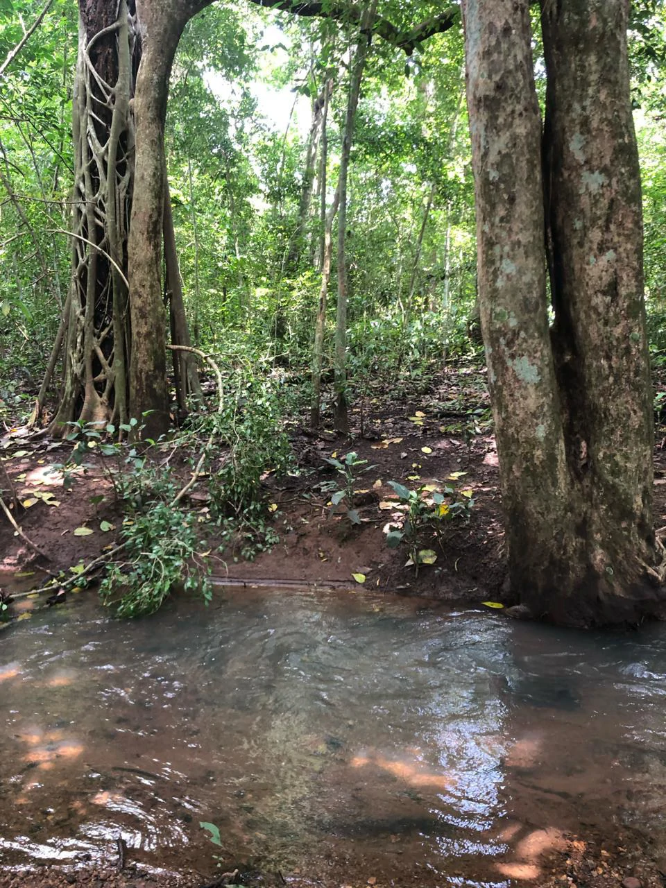 Peace, Privacy, Nature!: Finca in Eco friendly natural area - Gallery image 7