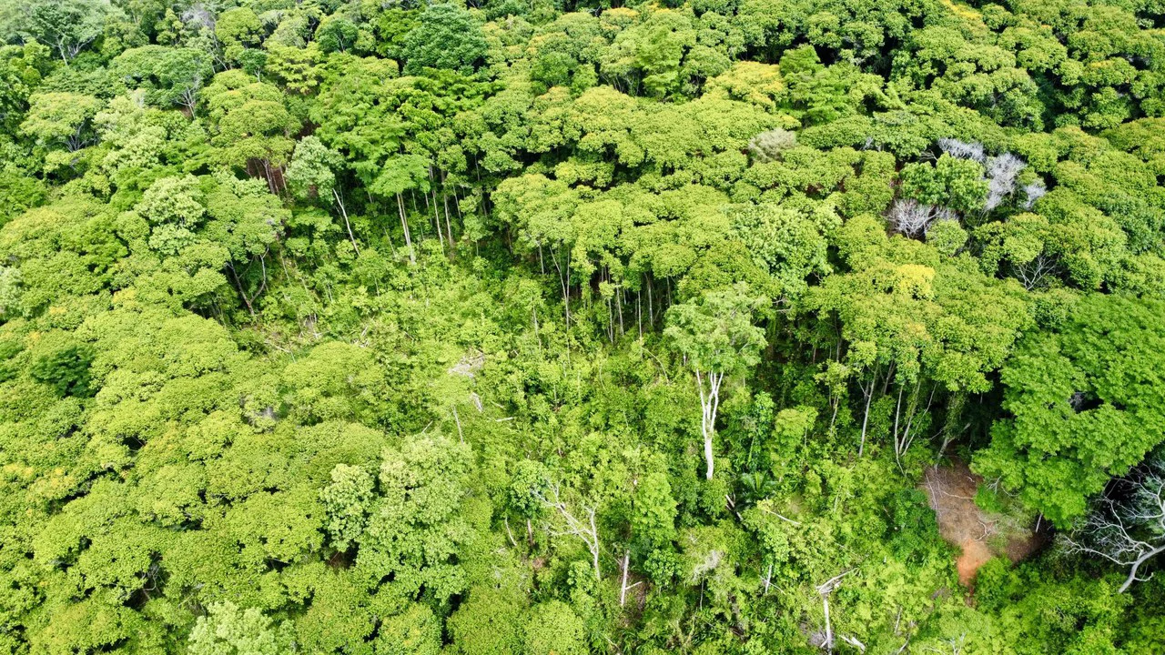 5.11 ACRES – Ocean And Mountain View Estate Property, Several Flat Buildable Areas, Legal ASADA Water!!! - Gallery image 10