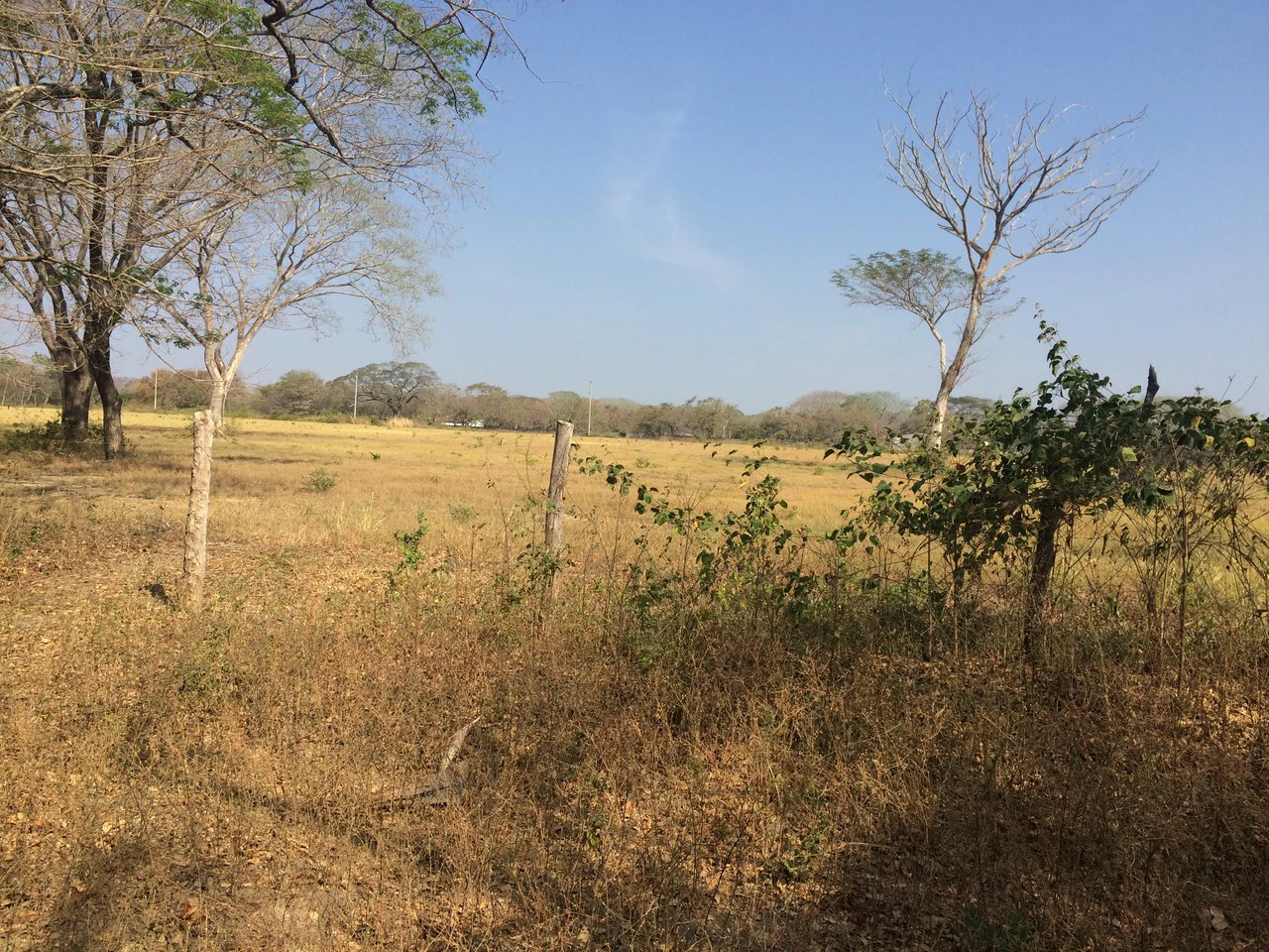 Lotes desde los 5 mil metros en Liberia Centro: Development Parcel For Sale in Liberia - Gallery image 8