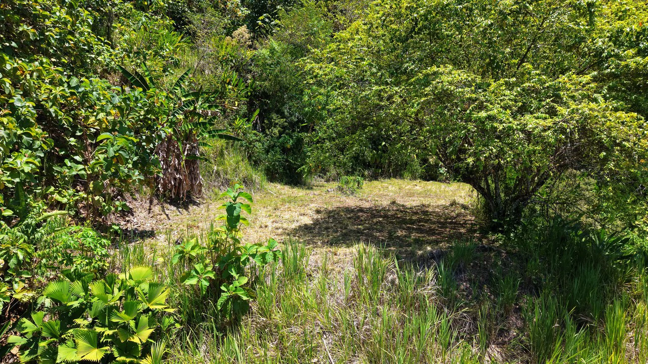Near the Coast Home Construction Site For Sale in Ciudad Cortés - Gallery image 11