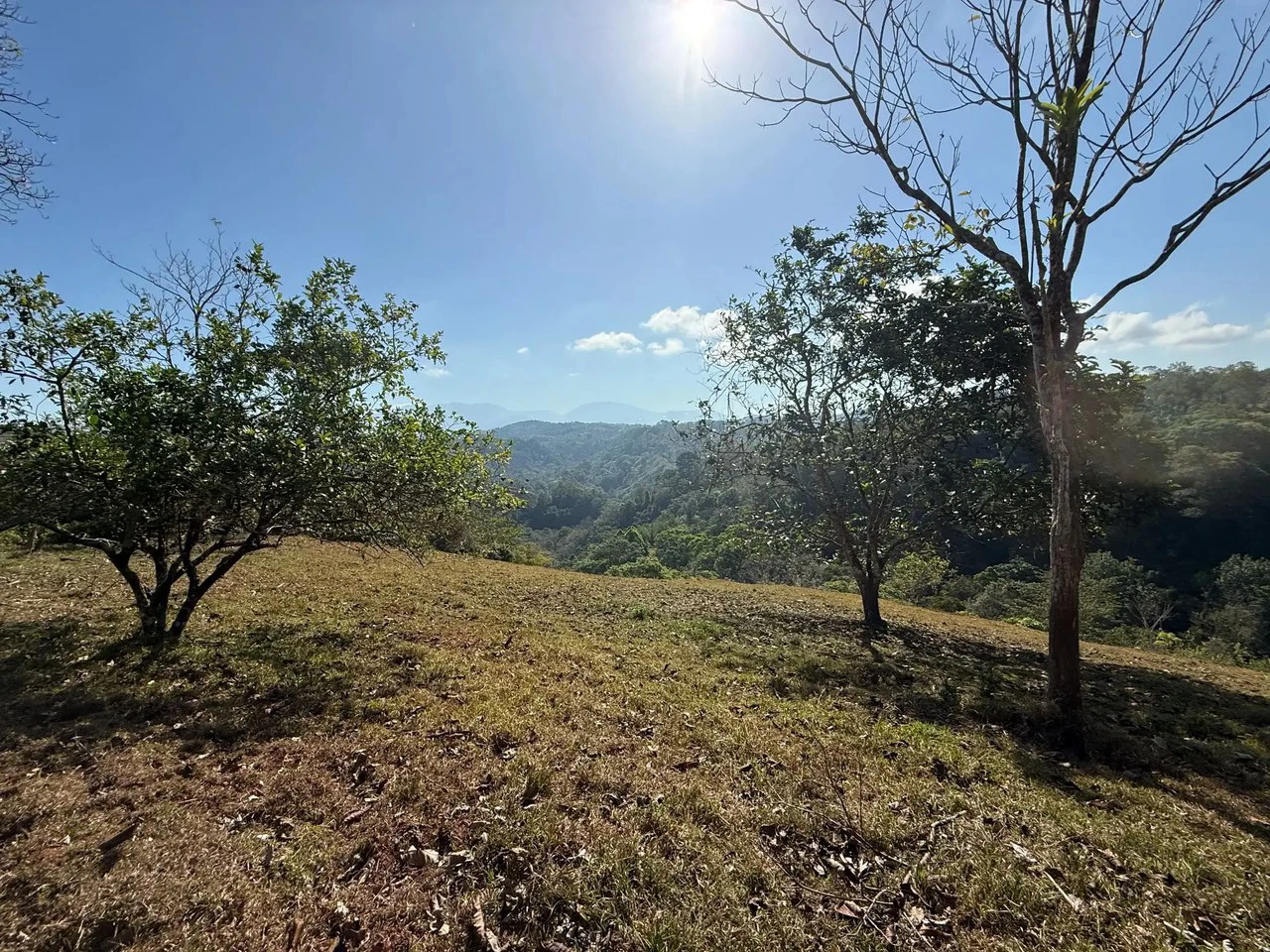 11.4 Hectare Mountain Estate: Lush Forest, River & Farm Potential in Arenal Puriscal , San Jose - Gallery image 3