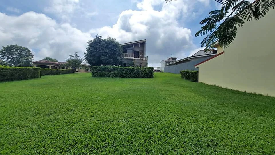 Lot for sale in Lomas del Bosque - Grecia