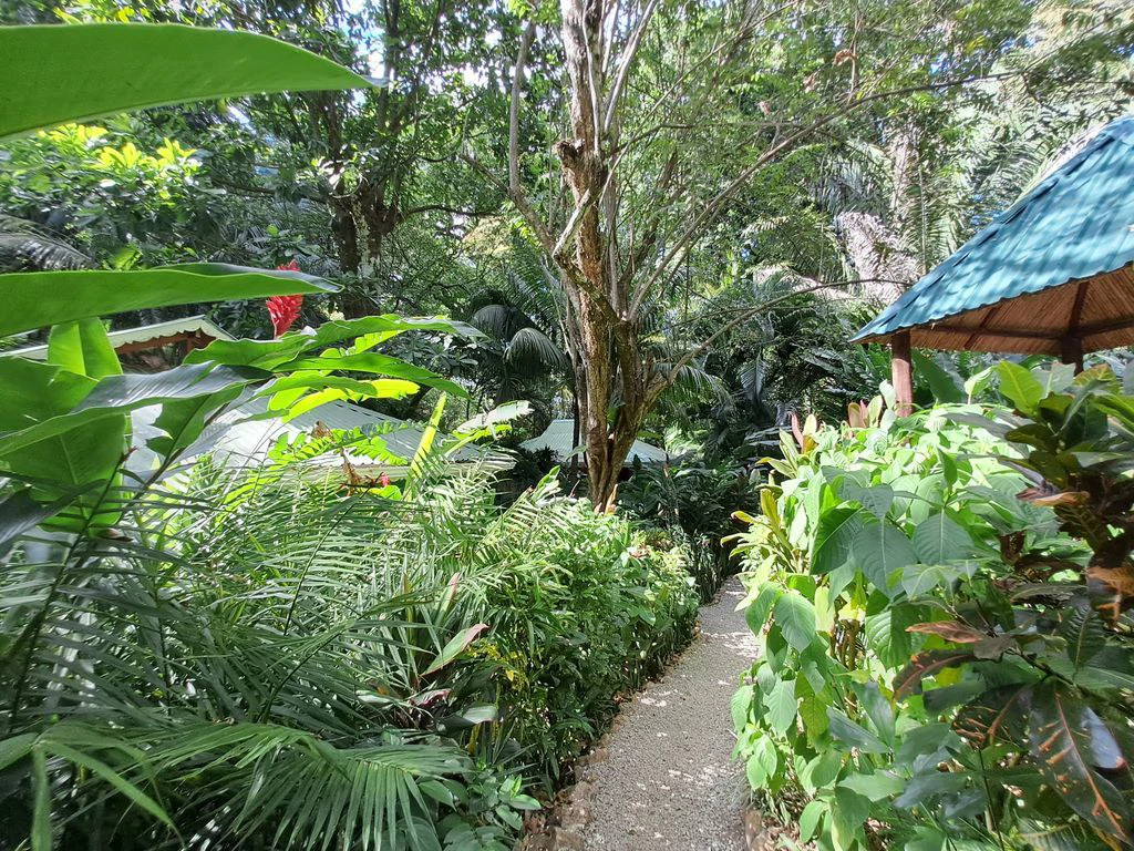 Samara Jungle Boutique Hotel: When Elegant & Romantic Bungalows Seamlessly Blend Into Nature's Bounty. - Gallery image 7