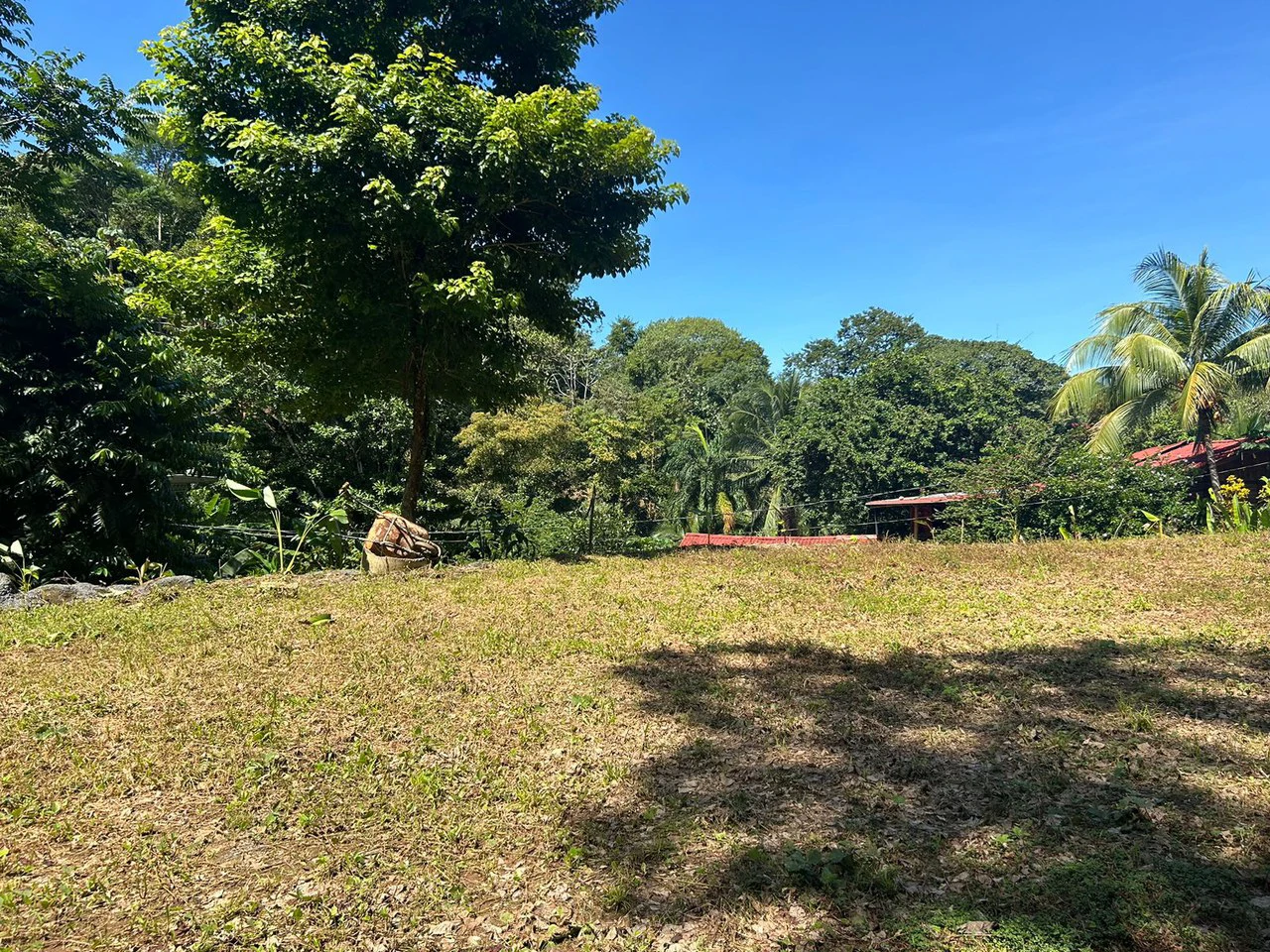 Reasonable Lot for sale in Uvita - Gallery image 6