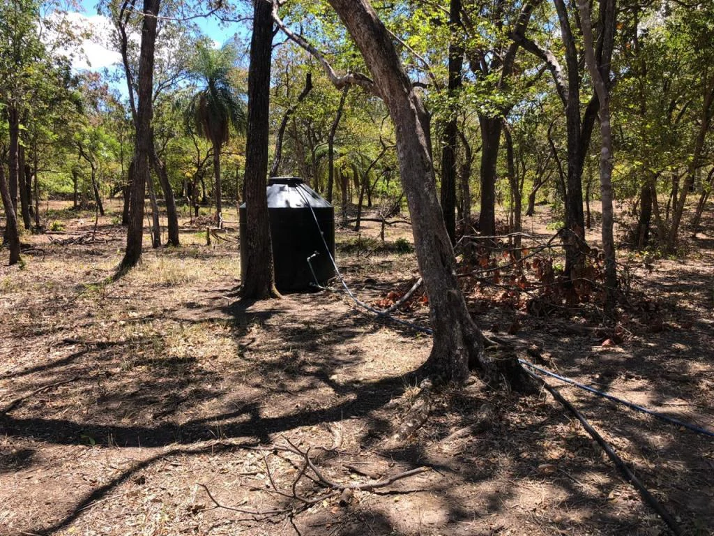 Big Farm: Property of 231 hectares in the Salto de Bagaces - Gallery image 5